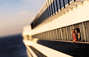 Carnival Cruises